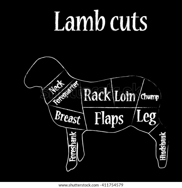 How To Butcher A Lamb Chart