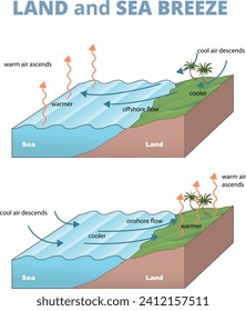 ilustración del diagrama de la brisa terrestre y marina - vector