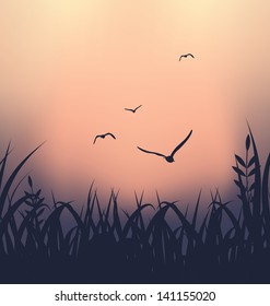 Illustration landscape with grass and flying seagulls - vector