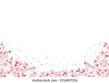 Illustration of a landscape looking up at a row of cherry blossom trees Decoration, frame, decoration at the bottom  (lateral length)