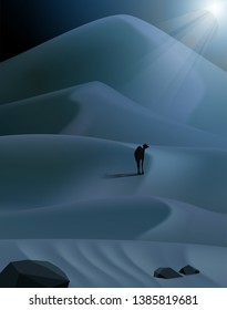illustration landscape night desert with camel