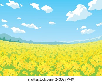 It is an illustration of a landscape with rape flowers blooming