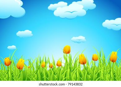 illustration of landscape with tulip garden and cloudscape