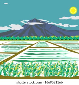 Illustration of landscapes of Asia, rice fields
