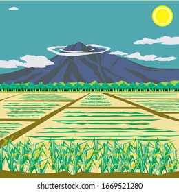 illustration of landscapes of Asia, rice fields, yellowed rice, fertile agriculture, green forests, mountains, clear skies.