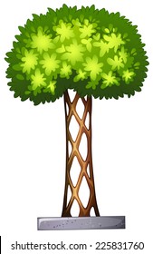 Illustration of a landscaping plant on a white background 