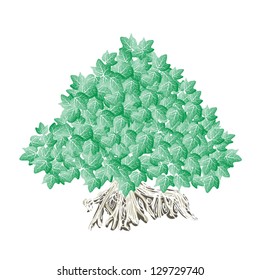 An Illustration of Landscaping Tree Symbol or Isometric Trees and Plants, Banyan Tree or Bod hi Tree for Garden Decoration