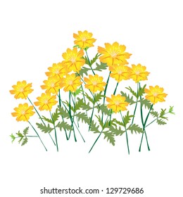 An Illustration Landscaping Tree Symbols or Isometric Trees and Plants of Cosmos Flowers for Garden Decoration