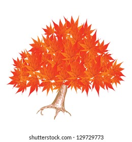 An Illustration Landscaping Tree Symbols or Isometric Tree of A Red Beautiful Maple Tree for Garden Decoration