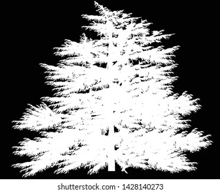 illustration with larch tree isolated on black background