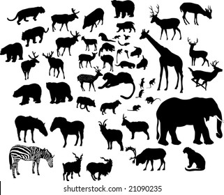 illustration with large animal silhouettes collection isolated on white background