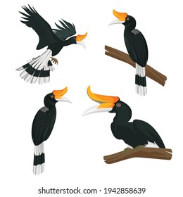 Illustration of large beak hornbill bundle