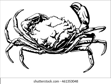 Illustration with a large crab. Vector.