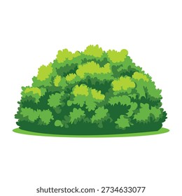 Illustration of a large green bush with various shades of green leaves on a plain white background with a flat design style.