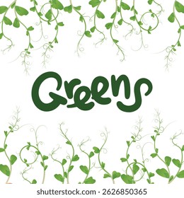 Illustration of a large inscription Greens and a border of green pea or bean sprouts above and below. On a white background.
