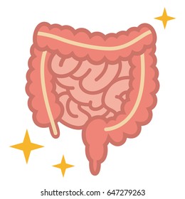 Illustration Of The Large Intestine And Small Intestine