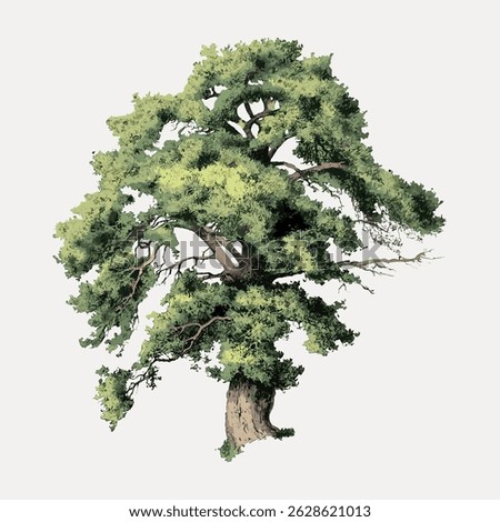 Illustration of a large, leafy tree with a thick trunk and sprawling branches. The tree's green foliage is lush and abundant, creating a natural, serene atmosphere. Vintage art illustration vector.