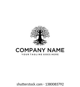 Illustration of a large, lush tree made with beautiful and sturdy details design vector