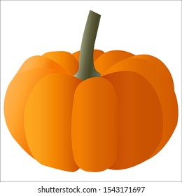 illustration of a large orange pumpkin. vector

