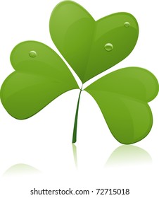 Illustration of a Large Piece of Shamrock with reflection