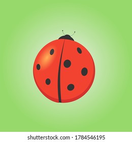 Illustration of a large size ladybug on a green background