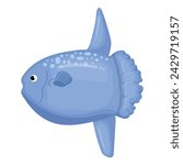 Illustration of a large sunfish in dark blue
