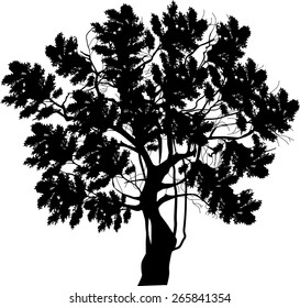 illustration with large tree isolated on white background