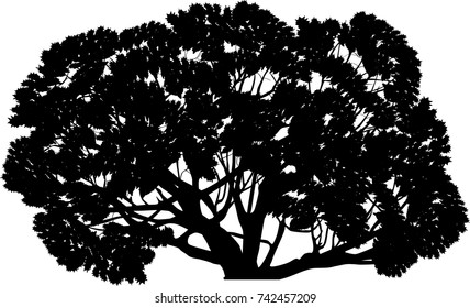ilustración con árbol grande aislado en fondo blanco