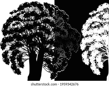 Illustration mit großen Bäumen einzeln auf schwarz-weißem Hintergrund
