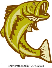 Illustration of a largemouth bass fish jumping done in cartoon style on isolated white background.