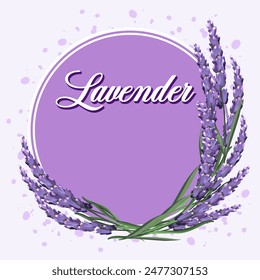 Ilustración con lavanda y marco.Ilustración vectorial con lavanda floreciente y texto enmarcado sobre un fondo de color.