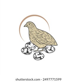 illustration of laying quail, vector art.