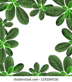Illustration of leaf border background.