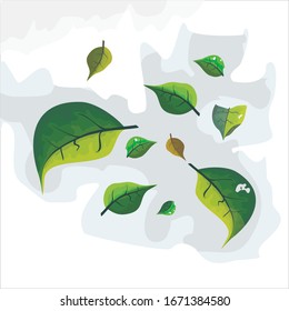 illustration of leaf in cartoon style. Leaves with a flat design style