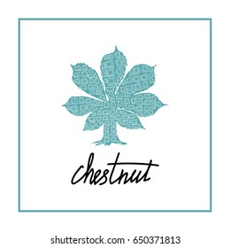 illustration leaf of chestnut tree