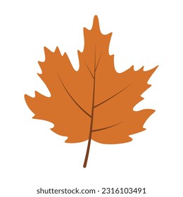 Illustration of a leaf design with an autumn theme