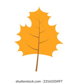 Illustration of a leaf design with an autumn theme