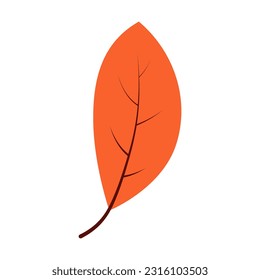 Illustration of a leaf design with an autumn theme