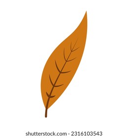 Illustration of a leaf design with an autumn theme