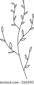 An illustration of a leaf with distinctive hand drawn lines