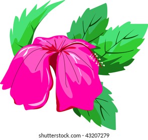 Illustration of leaf with flower	