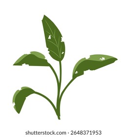Ilustração de uma folha com buracos, folhas infectadas com pragas, folhas comidas por lagartas, vetor de plantas com buracos mordidos por insetos