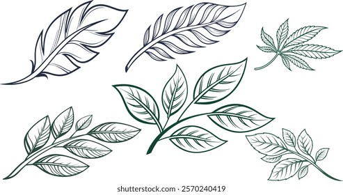 illustration, leaf, nature, foliage, design, forest, background, art, plant, floral, vector, botany, leaves, botanical, branch, drawing, sketch, set, element, isolated, autumn, decorative, collection