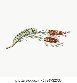Ilustração de uma folha e raiz de legumes. Folhas e legumes são desenhados à mão, mostrando detalhes artísticos. Elementos de folha e raiz criam um tema natural. Vetor de ilustração botânica vintage.