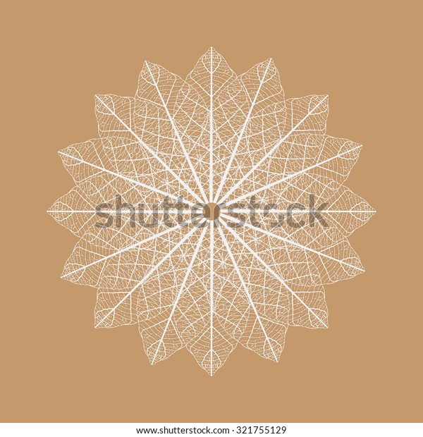 Illustration Leaf Skeletonization Stock Vector (Royalty Free) 321755129 ...