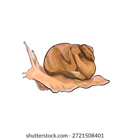 Illustration einer Blattschnecke ohne Hintergrund