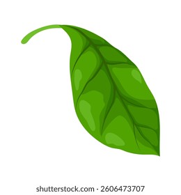 Ilustração de folha. Folhagem estilizada de primavera ou verão.