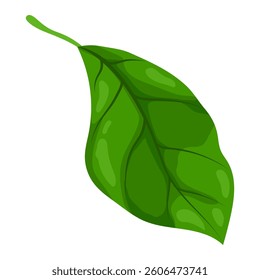 Ilustração de folha. Folhagem estilizada de primavera ou verão.