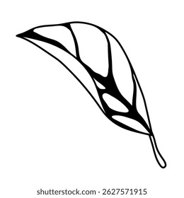 Illustration of leaf. Spring or summer stylized foliage.