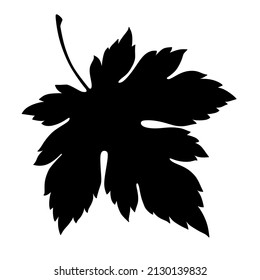 An illustration of a leaf with its stem that has the shape of a star